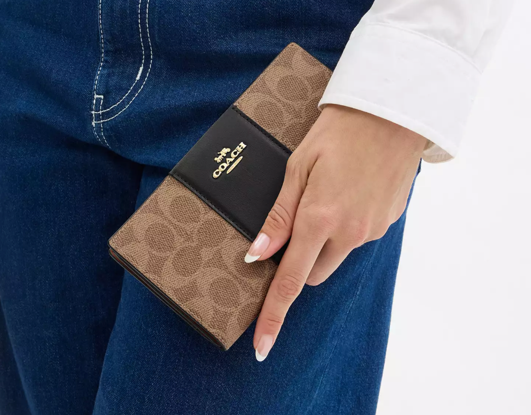 Coach Slim Zip Wallet In Signature Canvas With Stripe