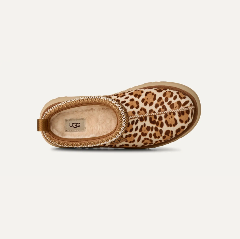 Ugg Women's Tazz Plains