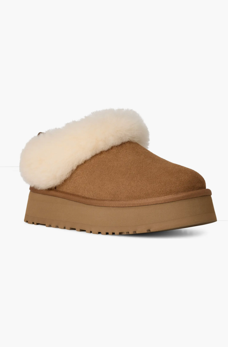 Ugg Tazzelle Genuine Shearling Collar Slipper - Chestnut