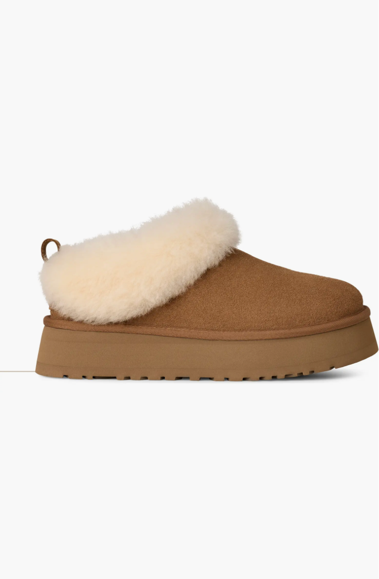 Ugg Tazzelle Genuine Shearling Collar Slipper - Chestnut