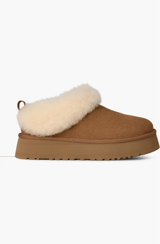 Ugg Tazzelle Genuine Shearling Collar Slipper - Chestnut