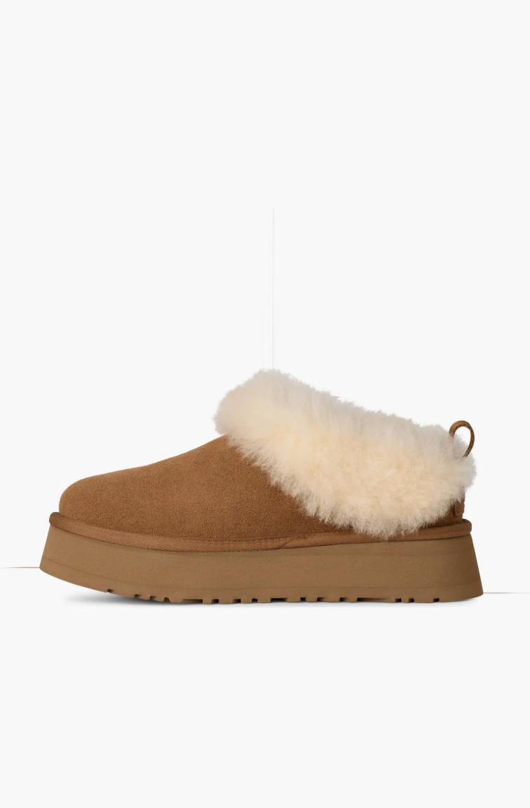 Ugg Tazzelle Genuine Shearling Collar Slipper - Chestnut