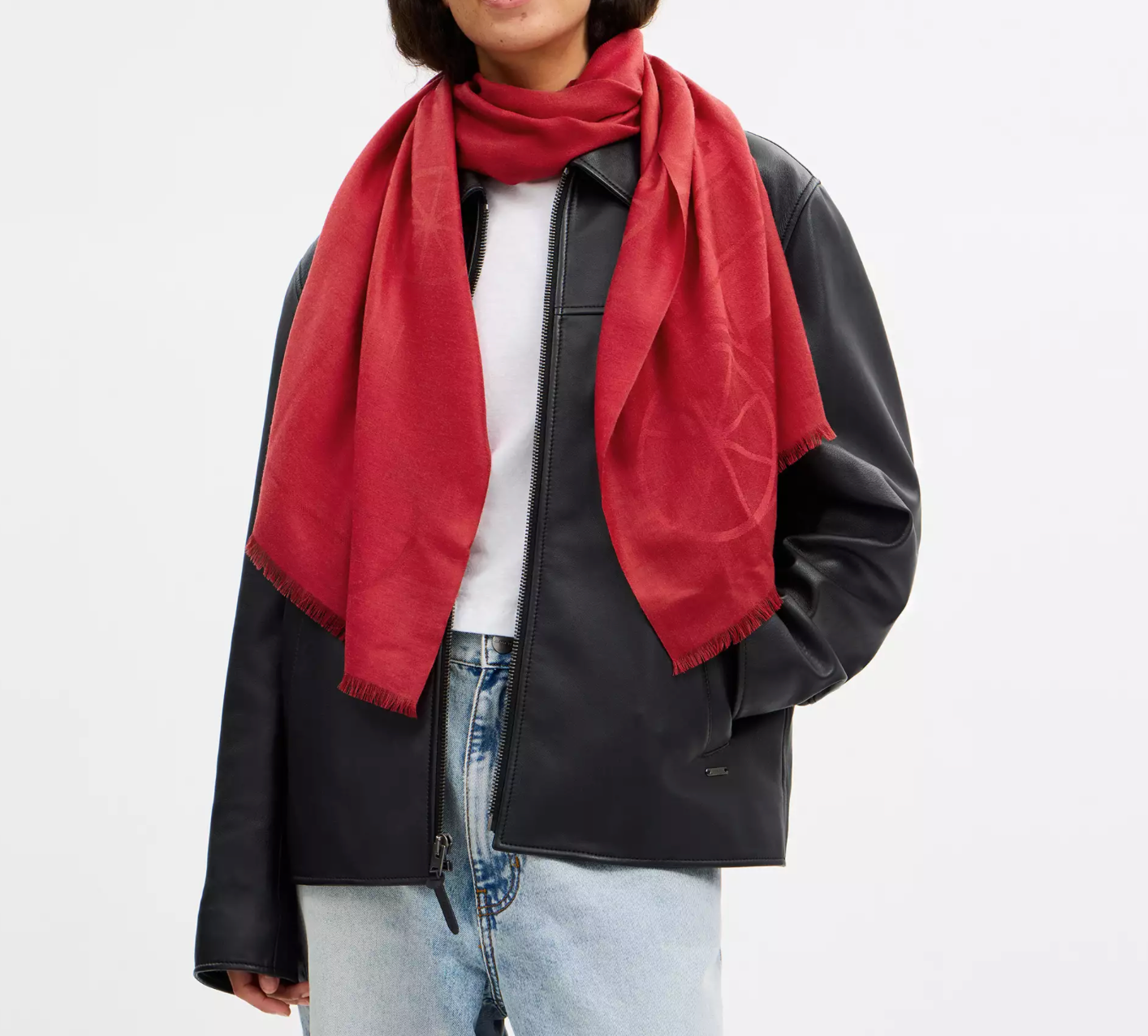 Coach Jumbo Horse And Carriage Wrap