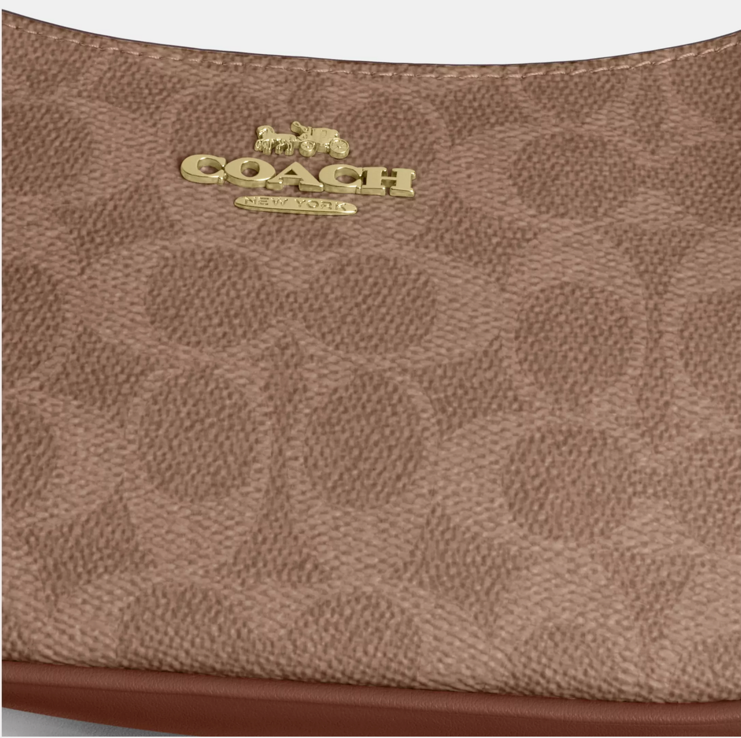 Coach Teri Mini Crossbody Bag In Signature Canvas Kadın Çanta