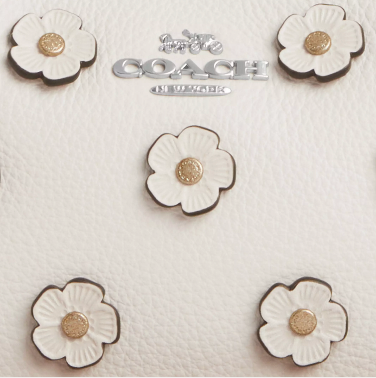 Coach Teri Mini Crossbody Bag With Floral Applique