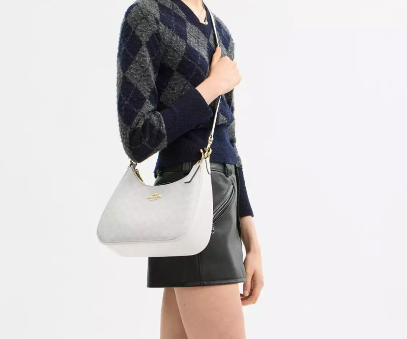Teri Hobo Bag In Signature Canvas