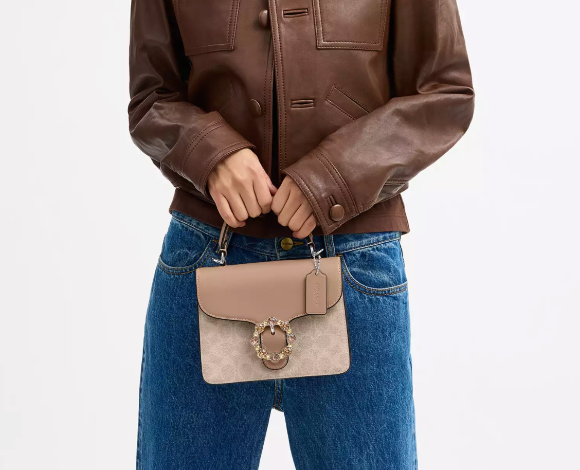 Coach Courtney Top Handle Bag In Signature Canvas