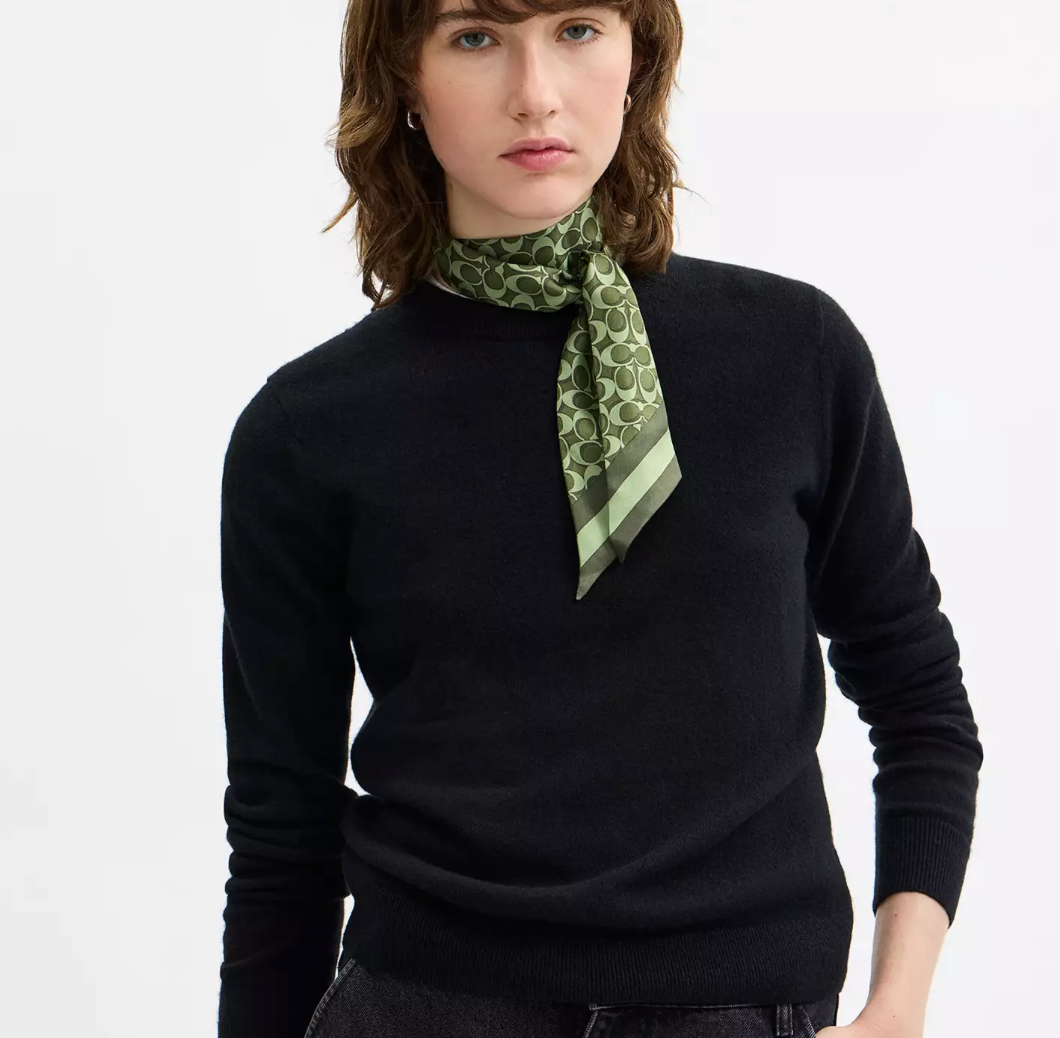 Coach Signature Print Silk Skinny Scarf