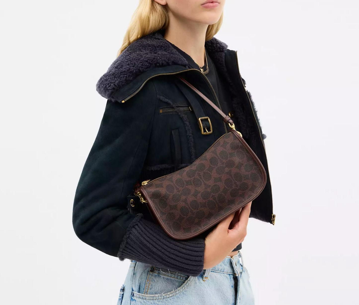 Coach Waverly Bag In Signature Canvas