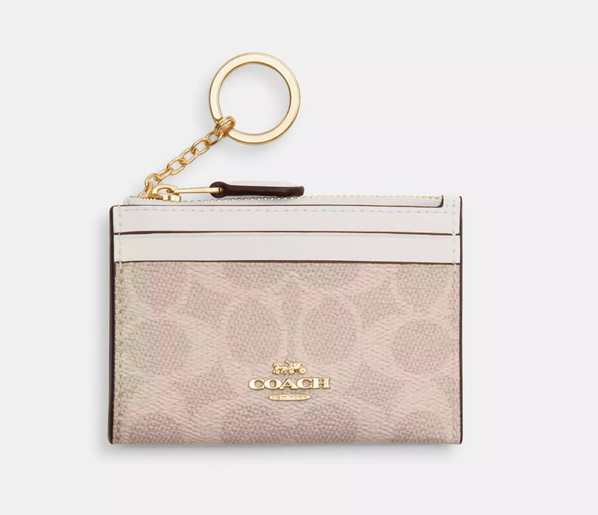 Coach Mini Skinny Id Case In Signature Canvas Kartlık