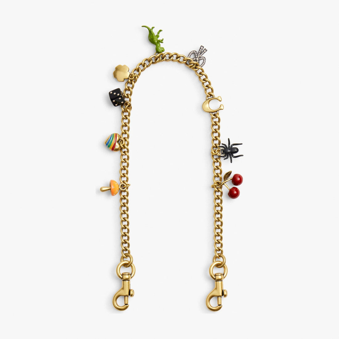 Coach Chain Strap With Charms - Brass/Multi