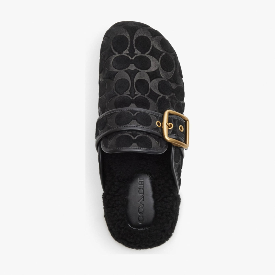 Coach Archival Buckle Clog With Signature Suede And Shearling - Black