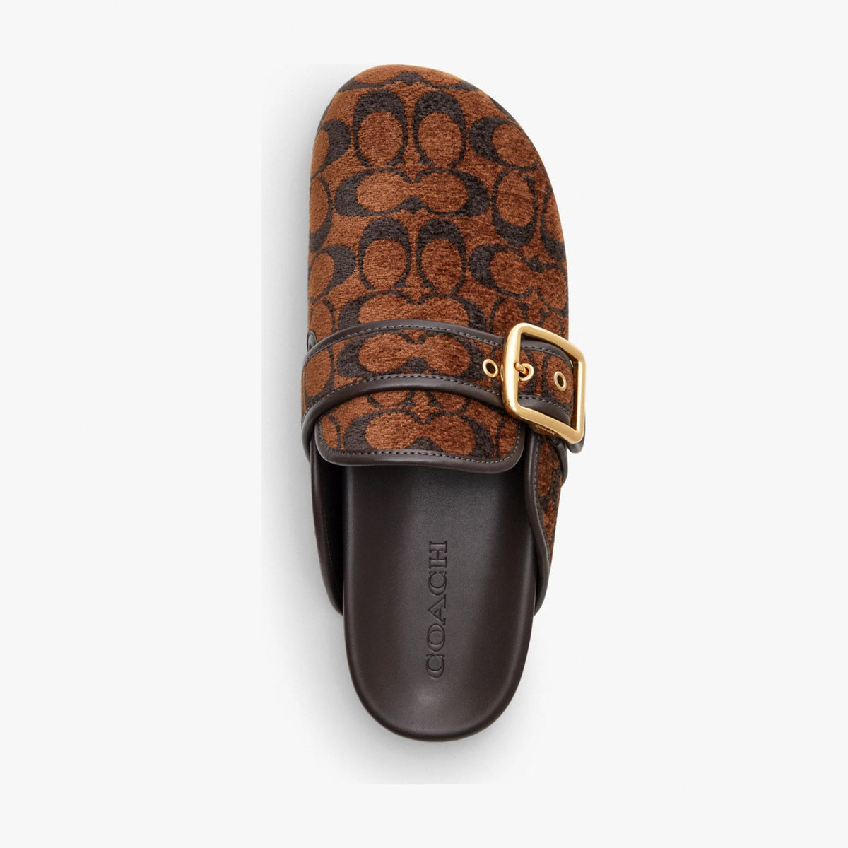 Coach Archival Buckle Clog In Signature Chenille - Truffle