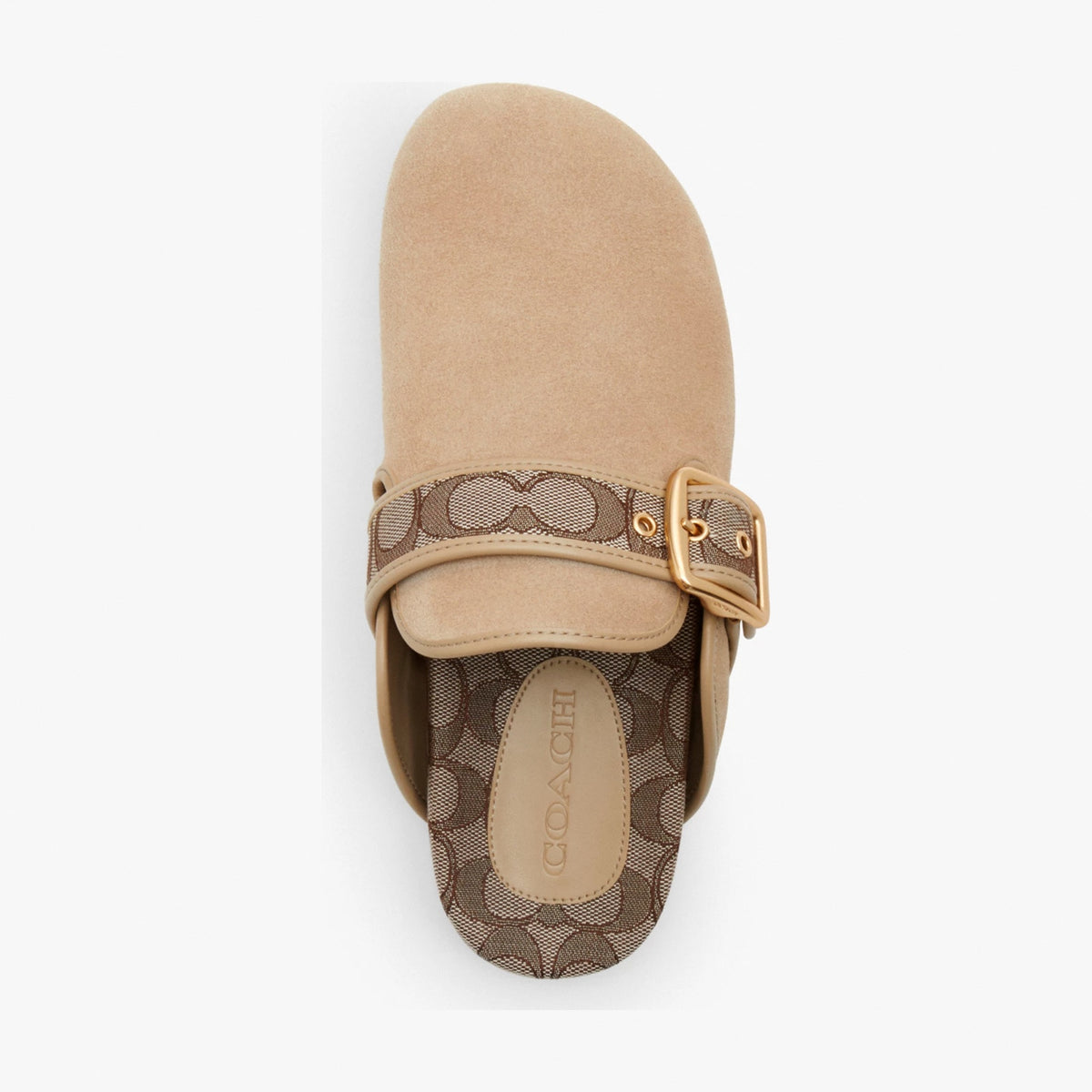 Coach Archival Buckle Clog - Oat