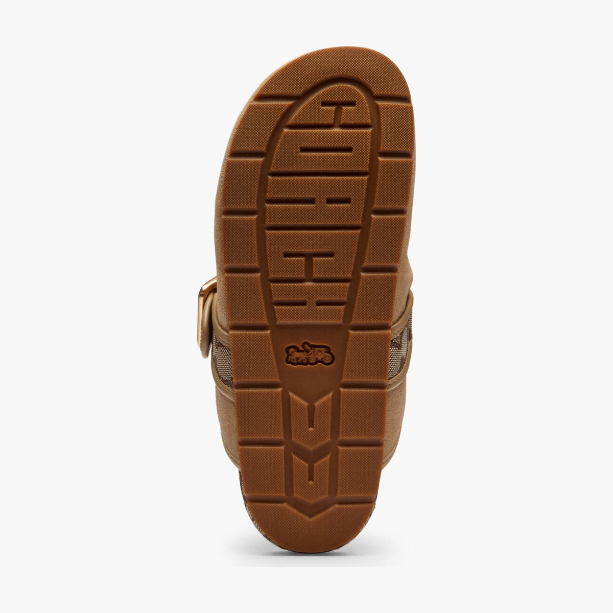 Coach Archival Buckle Clog - Oat