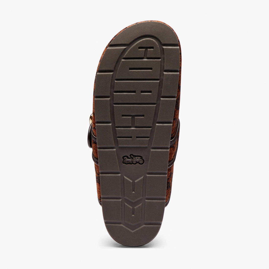 Coach Archival Buckle Clog In Signature Chenille - Truffle