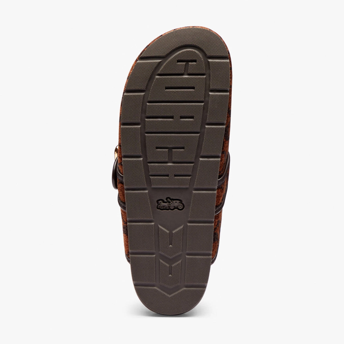 Coach Archival Buckle Clog In Signature Chenille - Truffle