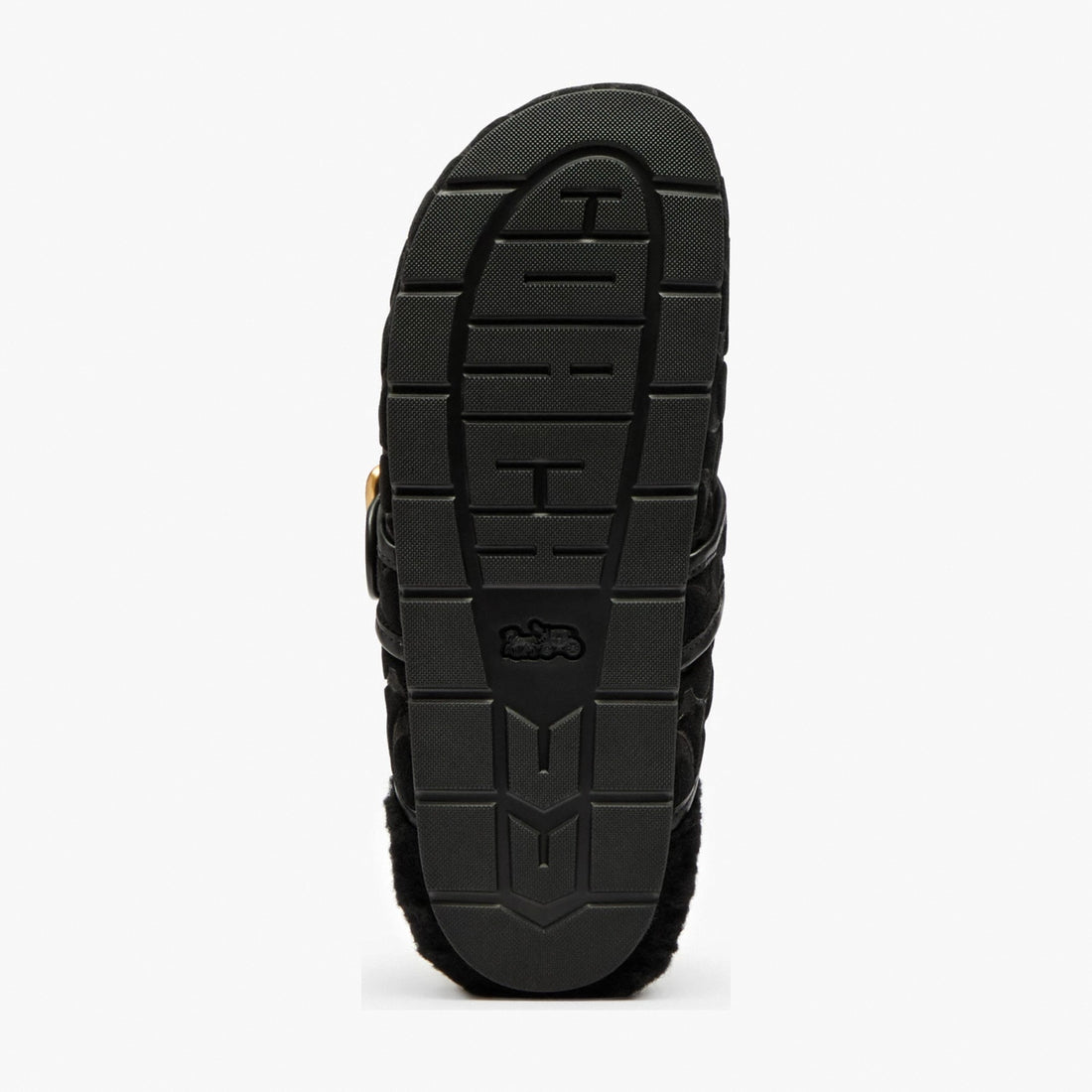 Coach Archival Buckle Clog With Signature Suede And Shearling - Black