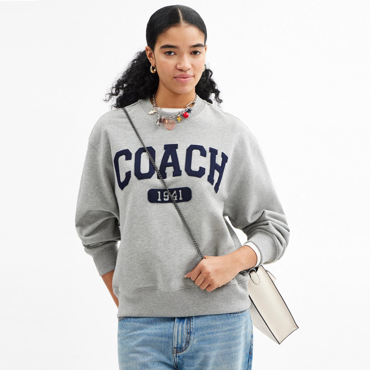 Coach Chain Strap - Gunmetal