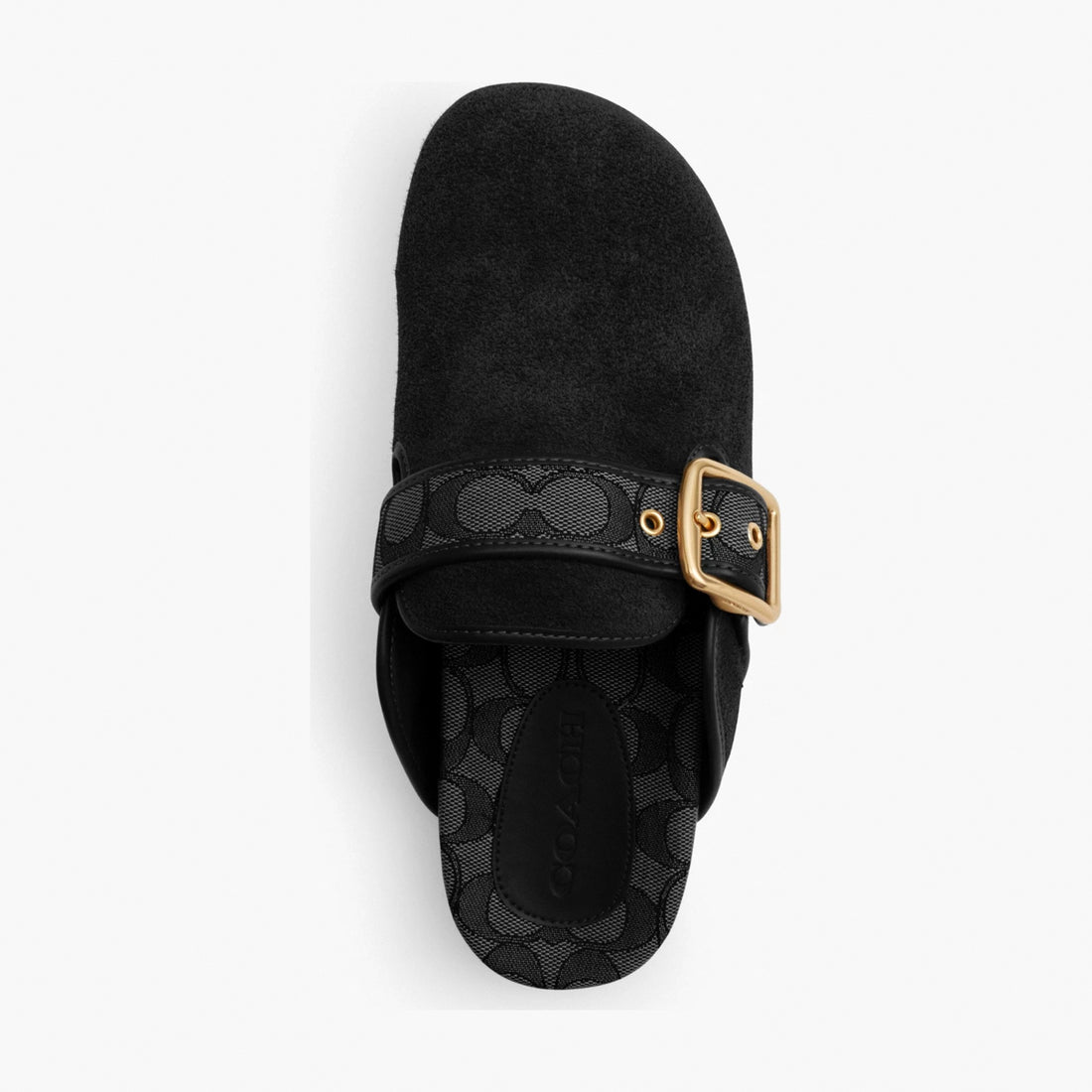 Coach Archival Buckle Clog - Black