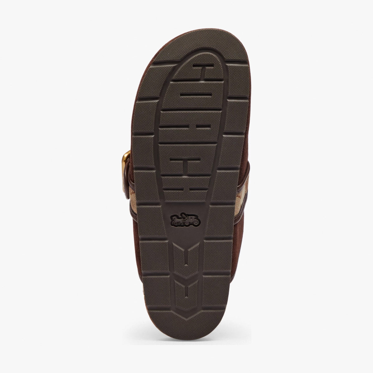 Coach Archival Buckle Clog With Signature Jacquard - Chocolate Brown